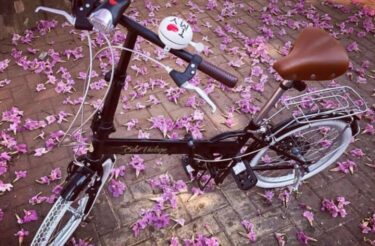 Bicicleta Dobrável Elleven Dobrável Aro 20