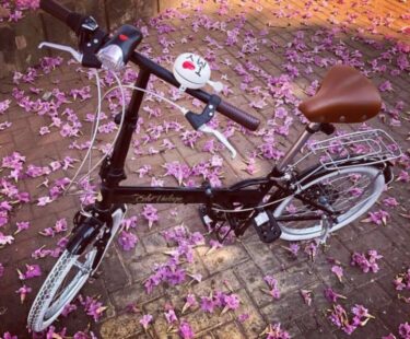 Bicicleta Dobrável Elleven Dobrável Aro 20