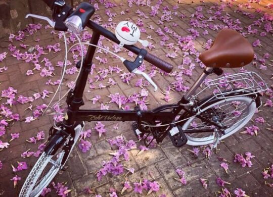 Bicicleta Dobrável Elleven Dobrável Aro 20