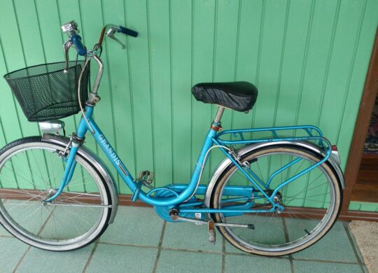 Bicicleta Dobrável Groove Grandis Aro 24