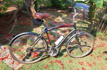Bicicleta Urbana Niner Starliner Velocidade 21V