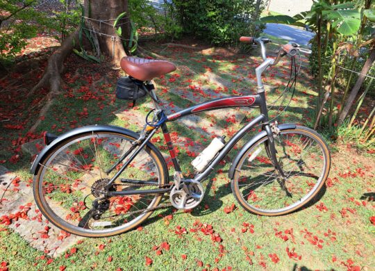 Bicicleta Urbana Niner Starliner Velocidade 21V
