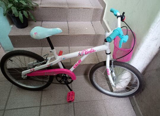 Bicicleta Urbana Caloi Ceci Aro 20