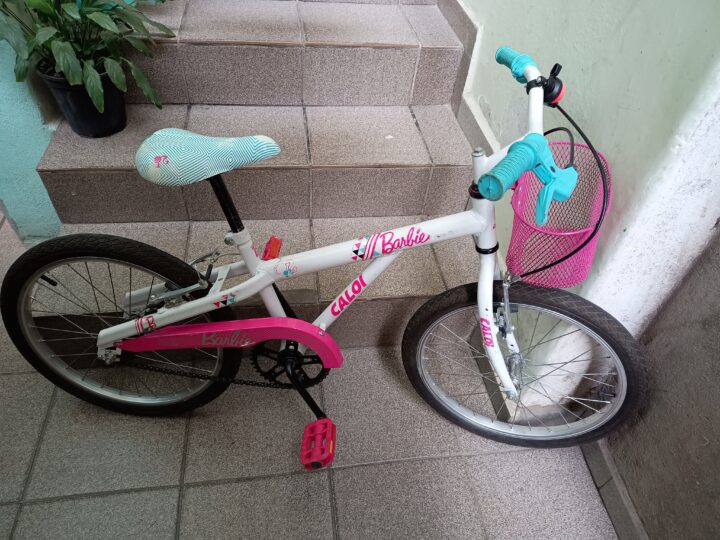 Bicicleta Urbana Caloi Ceci Aro 20 | Bazar Bikes Anúncio Bazar Bikes