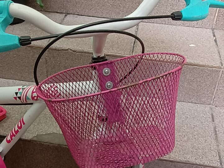 Bicicleta Urbana Caloi Ceci Aro 20 | Bazar Bikes Anúncio Bazar Bikes