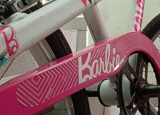 Bicicleta Urbana Caloi Ceci Aro 20 | Bazar Bikes Anúncio Bazar Bikes