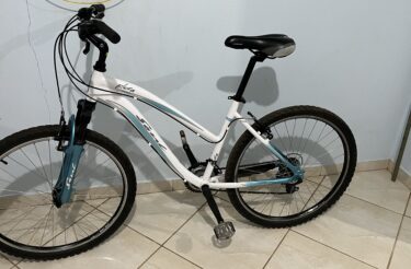 Bicicleta Urbana Soul Flora Aro 26
