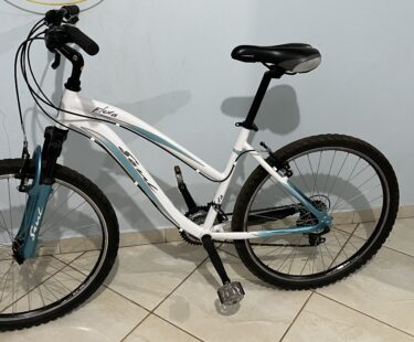 Bicicleta Urbana Soul Flora Aro 26