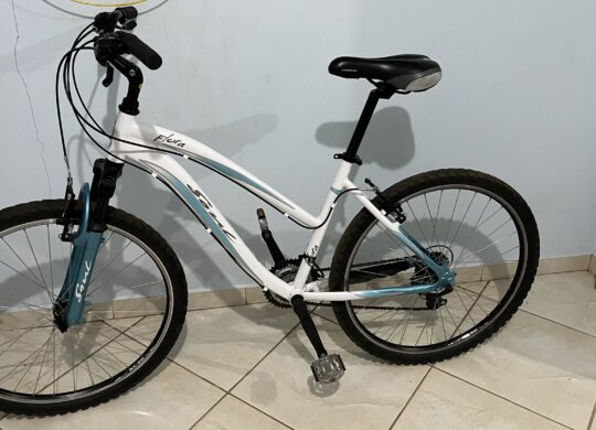 Bicicleta Urbana Soul Flora Aro 26