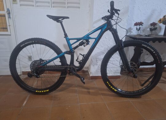Bicicleta Downhill Specialized Expert Aro 29 | Bazar Bikes Anúncio Bazar Bikes