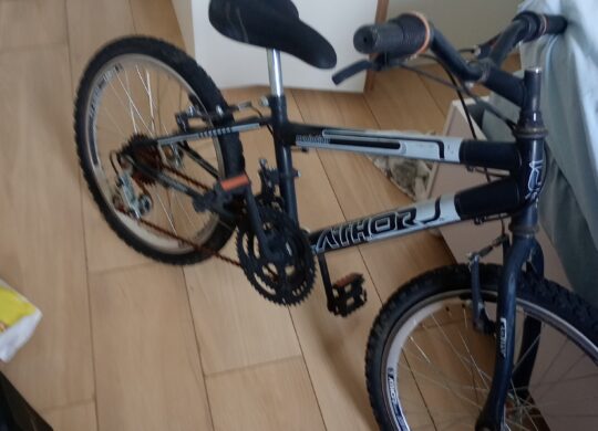 Bicicleta Infantil Athor exolution Aro 20 | Bazar Bikes Anúncio Bazar Bikes