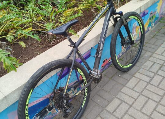 Bicicleta Mountain Bike (MTB) Rino Everest Aro 29