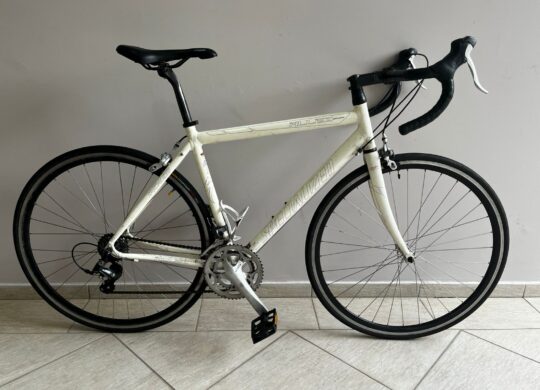 Bicicleta Speed Specialized Allez Quadro 21'(54cm)