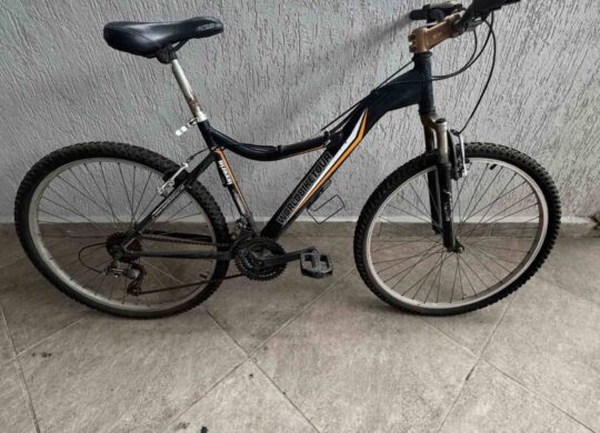 Bicicleta Urbana Caloi World Bike Tour Aro 26 Quadro 17 21V
