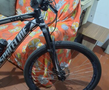 Bicicleta Urbana Spaceline Vega Aro 29 Quadro 19 21V