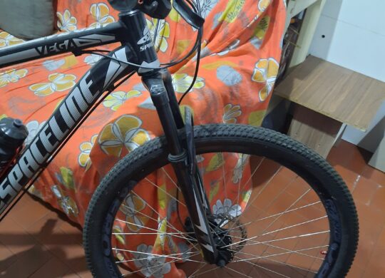 Bicicleta Urbana Spaceline Vega Aro 29 Quadro 19 21V