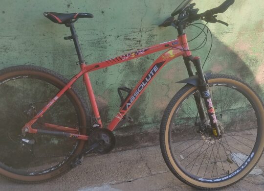Bicicleta Mountain Bike (MTB) Absolute Wild Aro 29 Quadro 19 21V