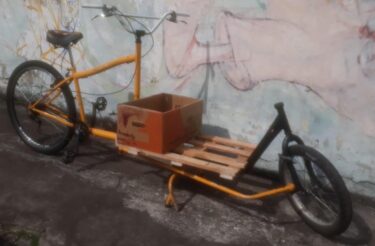 Bicicleta Cargueira Ecocase Long John 750 Aro 29 Quadro 56 12V