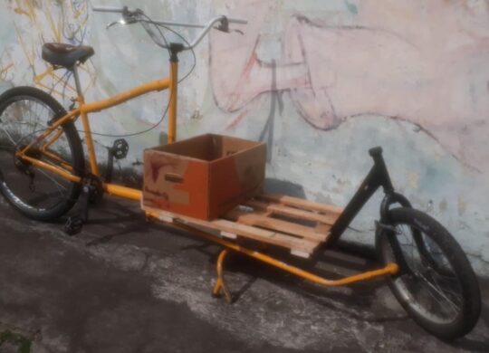 Bicicleta Cargueira Ecocase Long John 750 Aro 29 Quadro 56 12V
