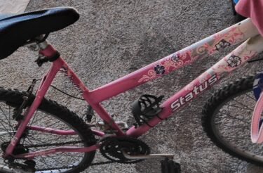 Bicicleta Infantil Status Belíssima Aro 20 Quadro 11 5V