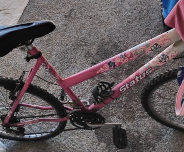 Bicicleta Infantil Status Belíssima Aro 24 Quadro 11 5V