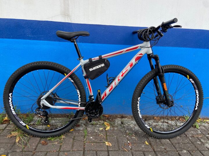 Bicicleta Mountain Bike (MTB) First Shelby Aro 29 Quadro 19 27V