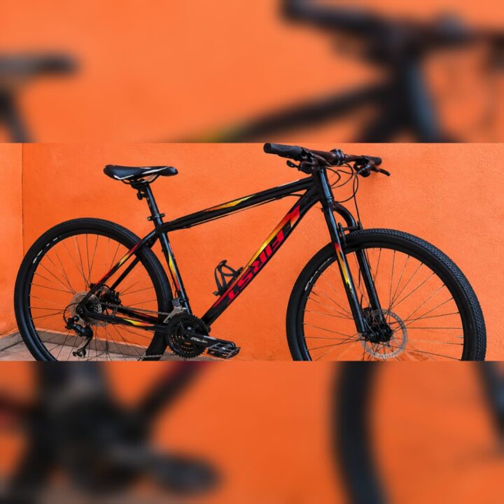 Bicicleta Mountain Bike (MTB) First Smitt Aro 29 Quadro 19 21V
