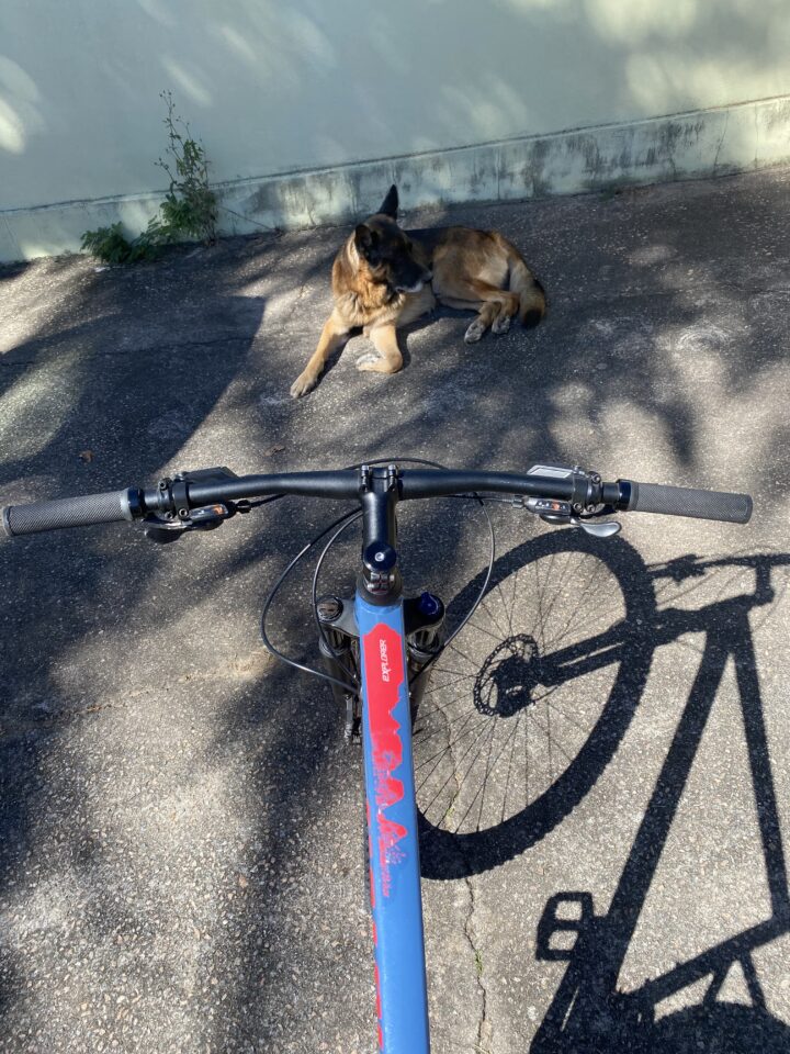 Anúncio Bazar Bikes