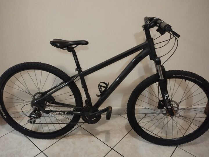Bicicleta Mountain Bike (MTB) First Shelby Aro 29 Quadro 15 24V | Bazar Bikes Anúncio Bazar Bikes