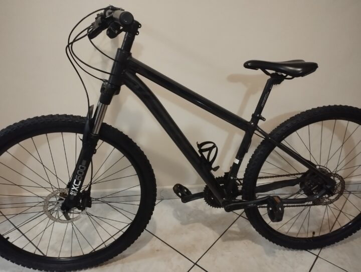 Bicicleta Mountain Bike (MTB) First Shelby Aro 29 Quadro 15 24V | Bazar Bikes Anúncio Bazar Bikes