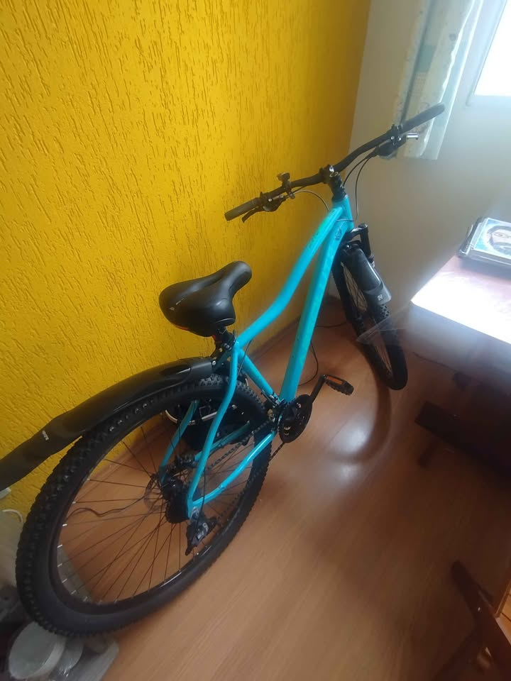 Bicicleta Mountain Bike (MTB) Absolute Hera Aro 29 Quadro 17 21V | Bazar Bikes Anúncio Bazar Bikes