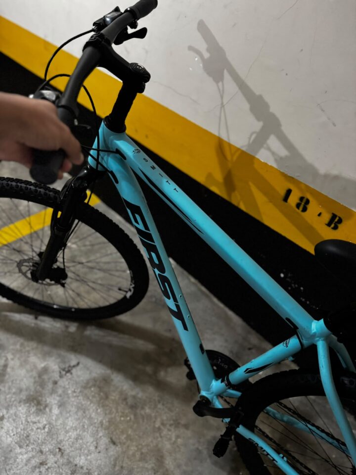 Bicicleta Mountain Bike (MTB) First Smitt Aro 29 Quadro 17 21V | Bazar Bikes Anúncio Bazar Bikes